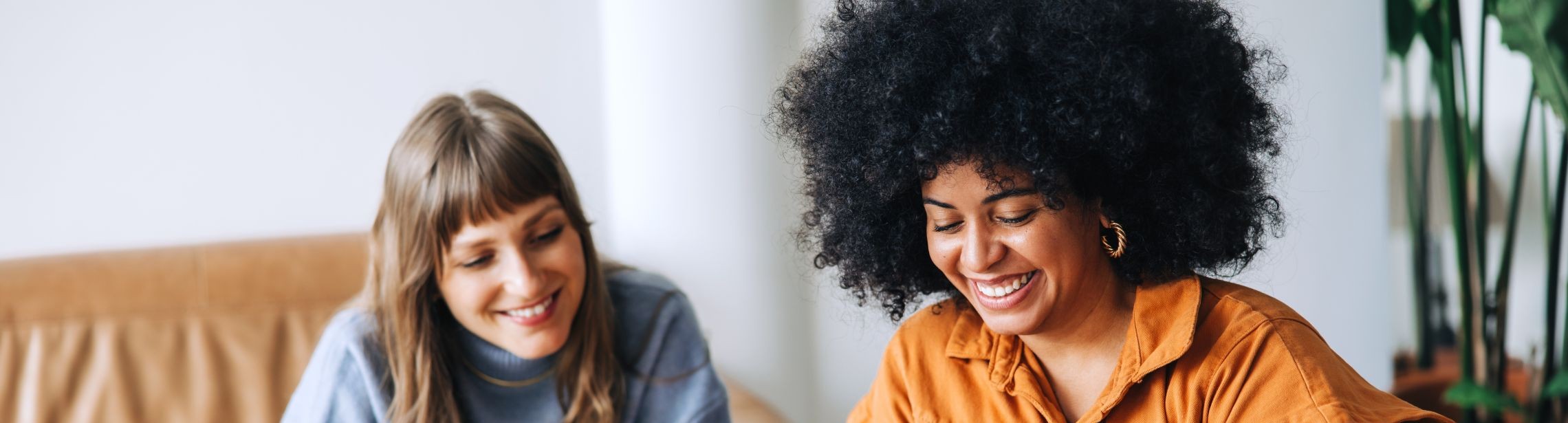 Business and Administration Sector