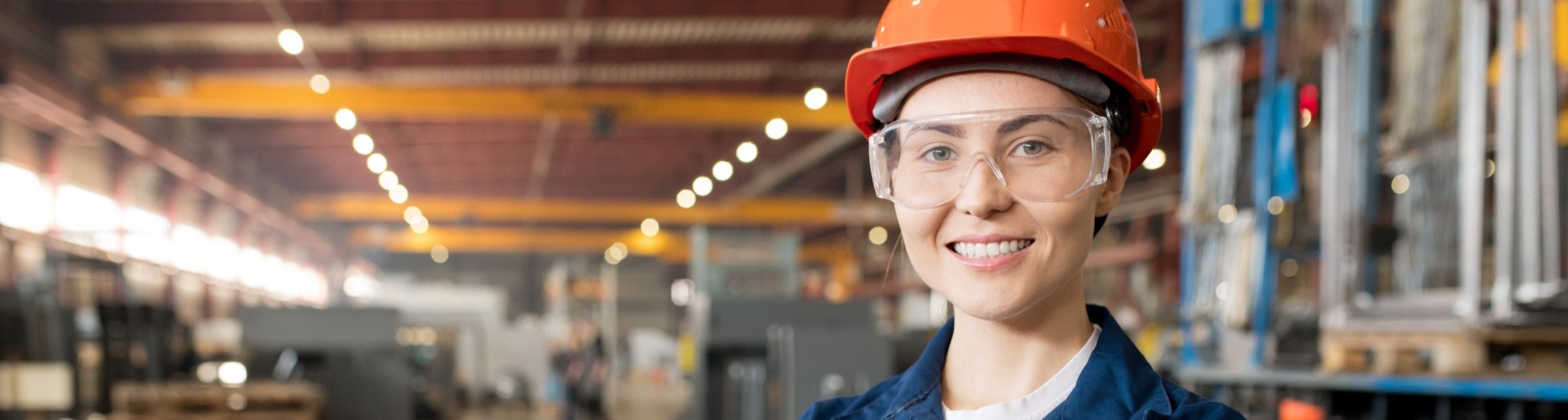 Transport and Logistics Sector