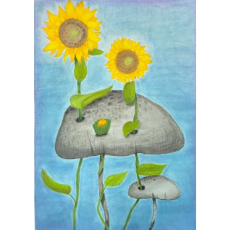 International GCSE Art and Design Fine Art 21 marks