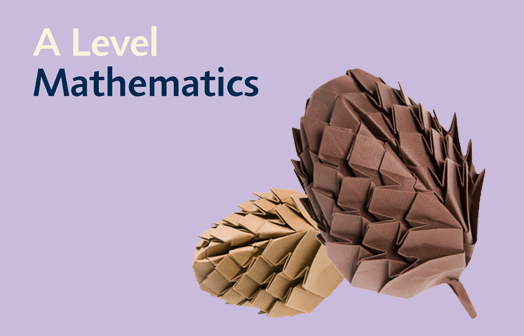 a level maths logo